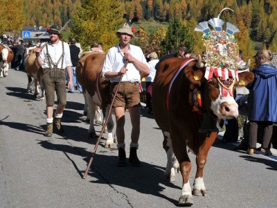 Holiday apartment Hochrain - Environment photo 21