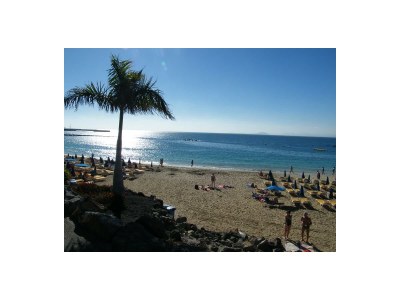 Bungalow Casa Romantica - Environment photo 29