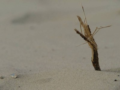 Holiday house Jhr de Casembrootplein 13 - Environment photo 18