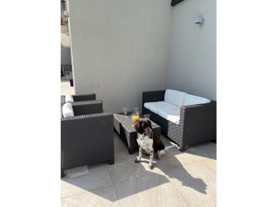 Holiday house Casa del Sogno IT017189C2RZYDDL9T - Outdoor photo 7