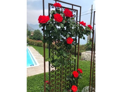 Holiday house Casa del Sogno IT017189C2RZYDDL9T - Outdoor photo 11