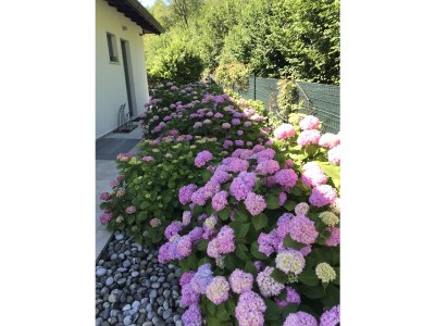 Holiday house Casa del Sogno IT017189C2RZYDDL9T - Outdoor photo 18