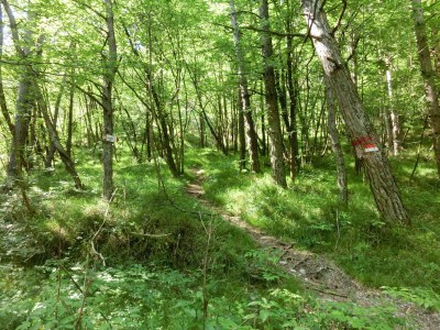 Holiday house Casa del Sogno IT017189C2RZYDDL9T - Environment photo 36