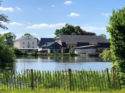 Holiday house Alte Wassermühle - Outdoor photo 3