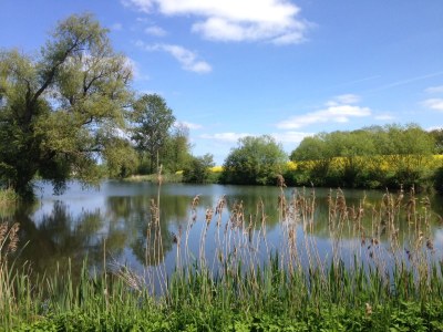 Holiday house Alte Wassermühle - Environment photo 16