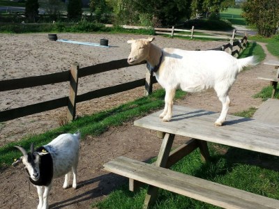 Holiday house Alte Wassermühle - Environment photo 21