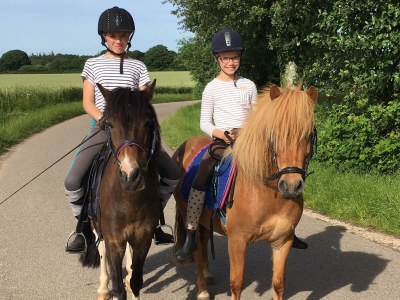 Holiday house Alte Wassermühle - Environment photo 22