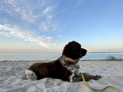 Holiday house Alte Wassermühle - Environment photo 23