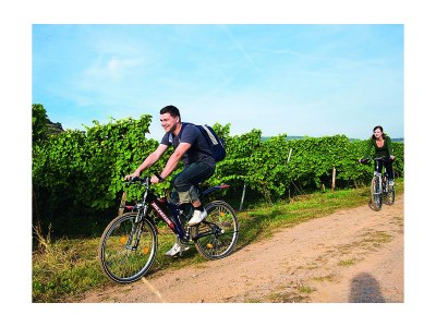 Holiday apartment Villa Mosella Mansarde - Environment photo 20