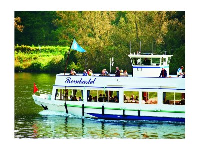 Holiday apartment Villa Mosella Mansarde - Environment photo 21