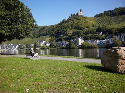 Holiday apartment Villa Mosella Mansarde - Environment photo 22