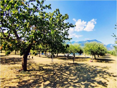 Holiday apartment Boschette1 - Outdoor photo 9