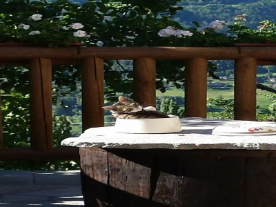 Chalet Chalet in Aosta nahe Pila Skilifte - Outdoor photo 44