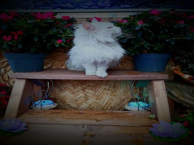 Chalet Chalet in Aosta nahe Pila Skilifte - Outdoor photo 47