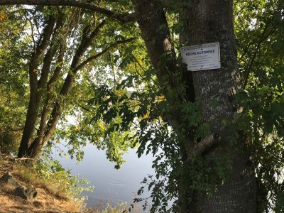 Cottage Mansion in Charrin by Loire with Pool - Environment photo 36