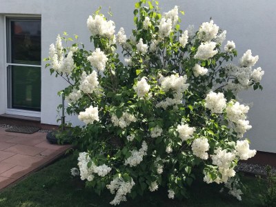 Holiday house Ferienhaus Pepe - Outdoor photo 5