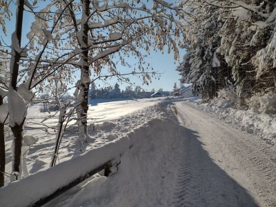 Holiday house Ruhiges Apartment mit Sauna, Burggen - Environment photo 21