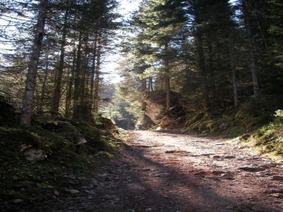 Holiday house Ruhiges Apartment mit Sauna, Burggen - Environment photo 33