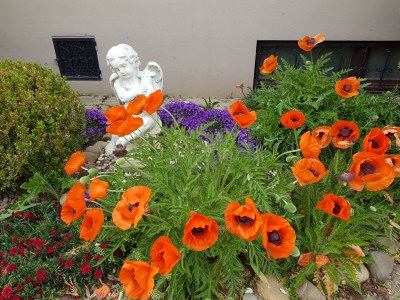 Holiday apartment Apartment: holiday home Bergamini - Outdoor photo 8