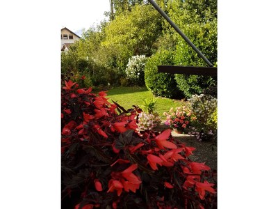 Holiday apartment Apartment: holiday home Bergamini - Outdoor photo 9