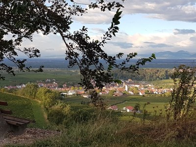 Holiday apartment Apartment: holiday home Bergamini - Environment photo 24