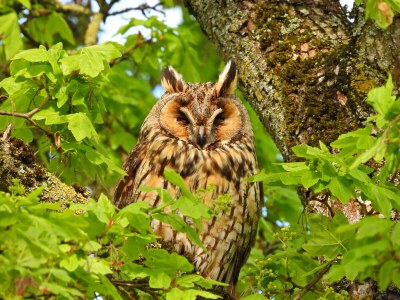 Holiday apartment Apartment: holiday home Bergamini - Environment photo 26