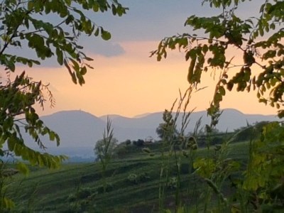 Holiday apartment Apartment: holiday home Bergamini - Environment photo 28