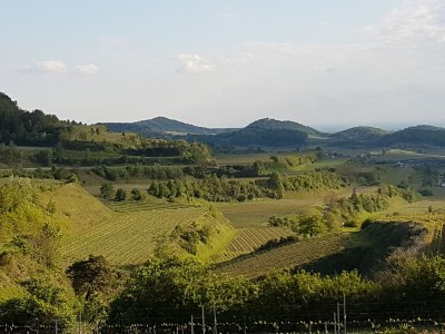 Holiday apartment Apartment: holiday home Bergamini - Environment photo 30