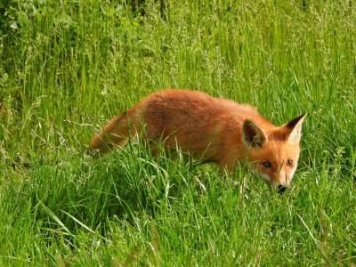 Holiday apartment Apartment: holiday home Bergamini - Environment photo 34