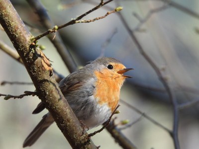 Holiday apartment Apartment: holiday home Bergamini - Environment photo 35