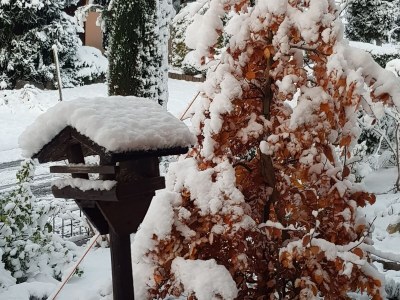 Holiday apartment Apartment: holiday home Bergamini - Environment photo 37