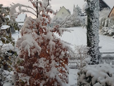 Holiday apartment Apartment: holiday home Bergamini - Environment photo 38