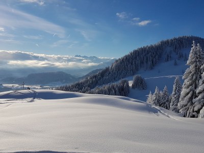 Holiday house apart ambiente - Environment photo 17