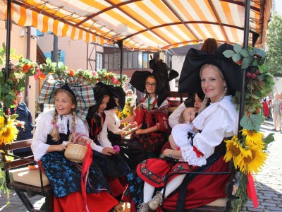 Holiday apartment Maison De Vacances Hild - Environment photo 30