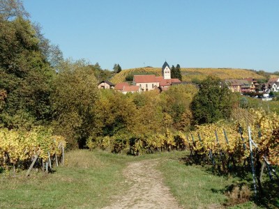 Holiday apartment Maison De Vacances Hild - Environment photo 32