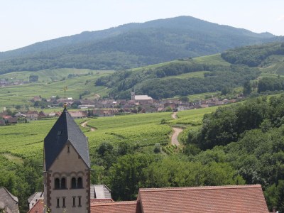 Holiday apartment Maison De Vacances Hild - Environment photo 33