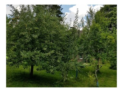 Holiday house Uttas Lodge - Features photo 17