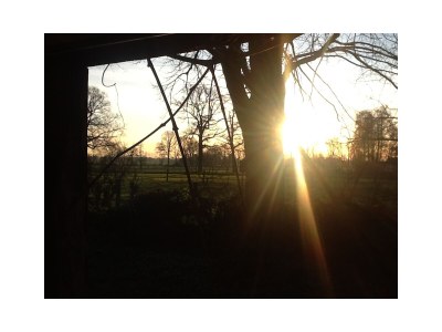 Holiday house Uttas Lodge - Environment photo 18