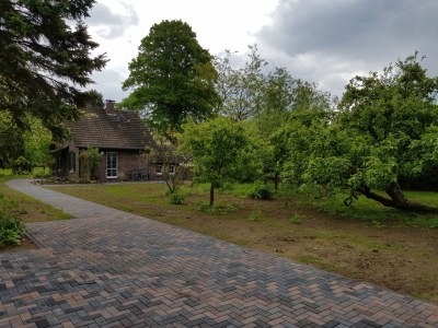 Holiday house Uttas Lodge - Environment photo 20