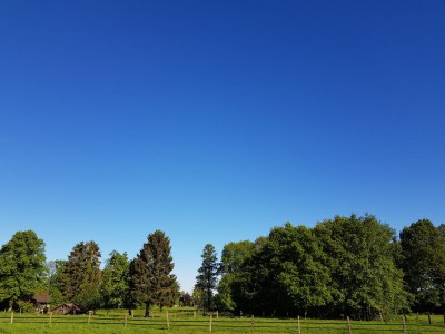 Holiday house Uttas Lodge - Environment photo 22