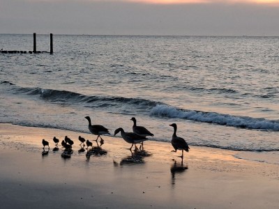 Holiday house Kering30 - Environment photo 32