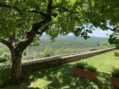 Holiday house Villa in der Toskana mit Pool und Weinprobe - Outdoor photo 3