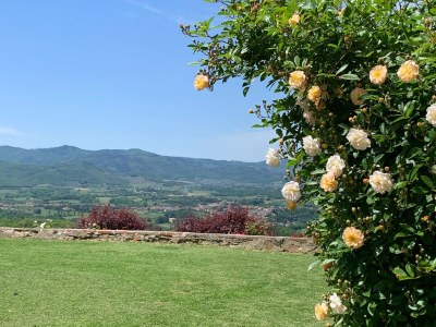 Holiday house Villa in der Toskana mit Pool und Weinprobe - Outdoor photo 6