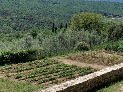 Holiday house Villa in der Toskana mit Pool und Weinprobe - Environment photo 32