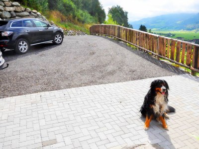 Holiday house Ematberg - Outdoor photo 11