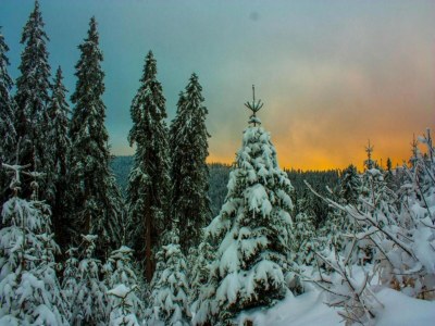 Apartment Gartenwohnung Gößweinstein - Environment photo 35