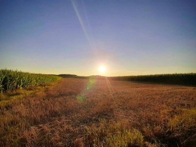 Apartment Das Künstlerhaus in Kammerstein - Environment photo 17