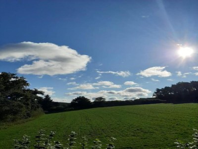 Apartment Das Künstlerhaus in Kammerstein - Environment photo 18