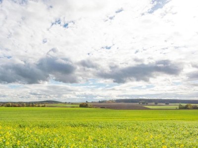 Apartment Das Künstlerhaus in Kammerstein - Environment photo 21