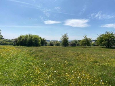 Apartment Das Künstlerhaus in Kammerstein - Environment photo 28